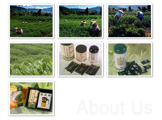 Piao I Tea Farm